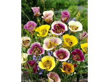 20,49���. ���������� �����(��� 10 ��. ���������� ������ 5��.).jpg