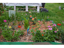 ������� (1).JPG