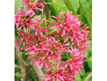 175���. ����������� ������������� �������������.jpg