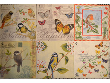 �������� ��� ��������.jpg