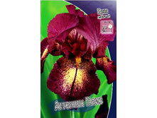 95,3���. ���� ���������� ������� ����(�������� ���� �� 2 ��., ����������� ����� 1��.).jpg