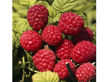 163���. ������ ���� ����.jpg