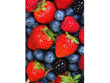 ����� 19*27 Ag229 - 585 ���.