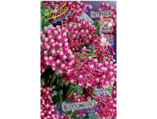 65,15���. �������� ��������(�������� ���� �� 2 ��., ����������� ����� 1��.).jpg