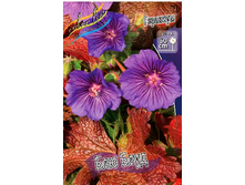 97,1���. �������� ��� ����(�������� ���� �� 1 ��., ����������� ����� 1��.).jpg