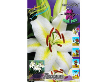 28,76���. ����� �����(�������� ���� �� 5 ��., ����������� ����� 1��.).jpg