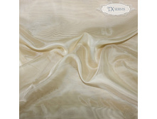 ���������� Interio B1.jpg