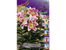 41,72���. ����� ��������(�������� ���� �� 5 ��., ����������� ����� 1��.).jpg