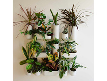 �������� ���������� � �������������9.jpg