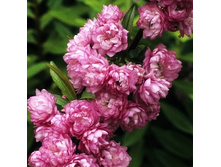 162���. ����� ���������� ����� �����.jpg