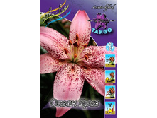 31,34���. ����� ����� ����(�������� ���� �� 5 ��., ����������� ����� 1��.).jpg