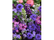 ����� ������� �������� 1,5�� 15.jpg