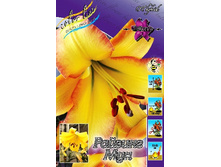 40,04���. ����� ������� ���(�������� ���� �� 7 ��., ����������� ����� 1��.).jpg