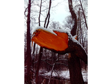 IMG 20151116 131623.jpg