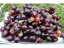 �����  (��������� � ���������).jpg