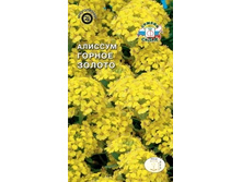 Alissum gornoe zoloto sdk-1577-22-ru.jpg