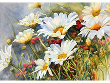 ������� ������� 27*38 ag4644 - 846 ���.