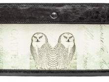 ������ ������� ������.