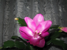 IMG 4584.JPG