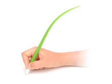 100� ����� Eco Dark Green