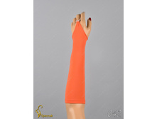 042 an42017-00048.jpg