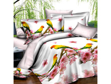 PL-15-3_2370 ���_���� �� �����_1580 ���