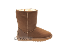 55-66-L ��������.png