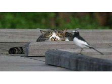 ��������� �������� ...