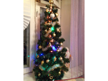 ��� �0��� ������� ��������� �������� (2015���)