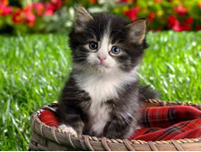 1922524 409862695819614 1775376402 n.jpeg