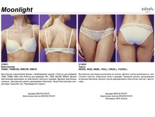 Moonlight ��������.jpg