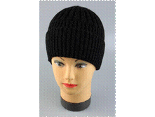 Image561.gif