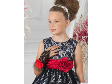 �������� ��� ������� PACG011407 ������-�������.jpg