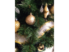 ��� �0��� ������� ��������� �������� (2015���)