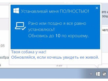 ������ ����� 10 ...