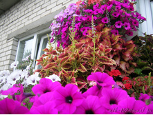 DSCN5027-1.JPG