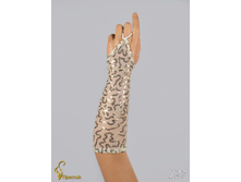 127 an4200s-00047.jpg