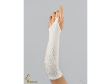 140 an42010-00007.jpg