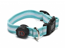 ������� ��� ����� ������������, S (LED Dog Collar) - 503 ���..jpg