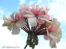 DSCN3739.JPG