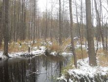 DSCN3289s.JPG