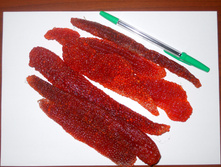 ���� ������ ������������ - 2500 �.