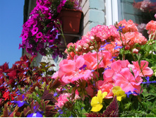 DSCN4424-1.JPG