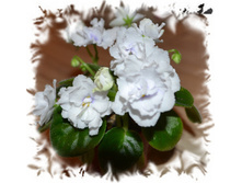 �-�������