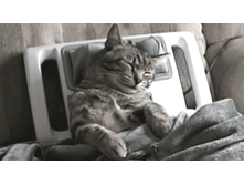 ������-�-�-�-�