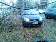 IMG 20151103 132457.jpg