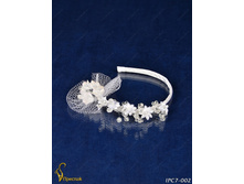 IPC7-002 IPC7002-40A16  120�.