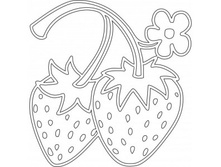 A4 ��������.jpg