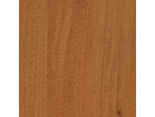 519 ����.jpg