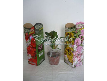 ����������� � ������������ 220�  �����(�������), 200���������(�����-���������), ��������� ���������(�����-��������).�������(�����)